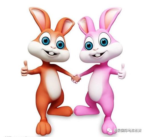 君乐宝马拉松鹿泉直播,石家庄鹿泉君乐宝国际半程马拉松