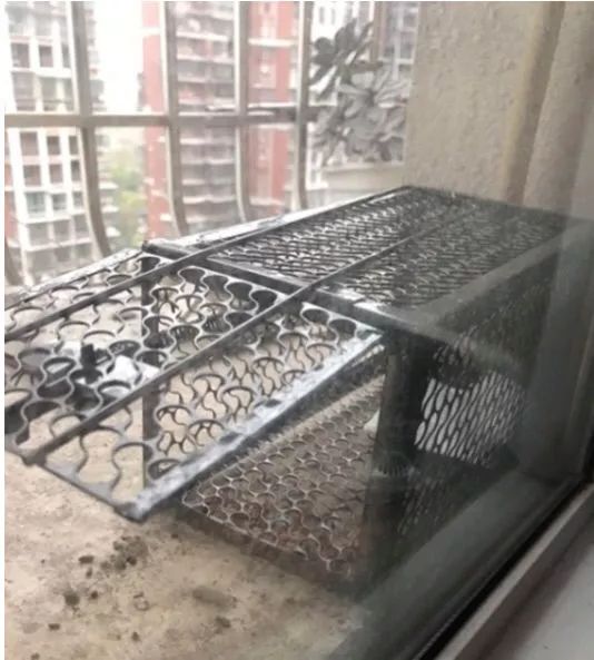 闲聊多肉大军四川“兵团”川南支队养肉记！