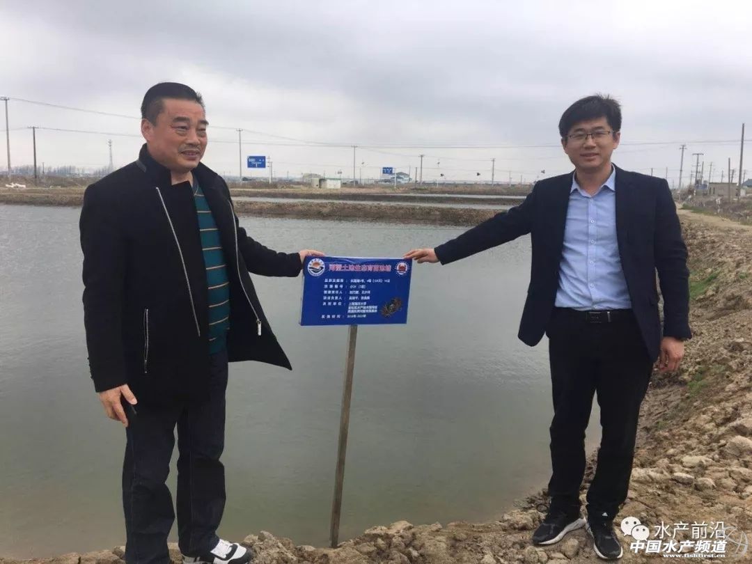 长荡湖大闸蟹养殖,长荡湖一号大闸蟹