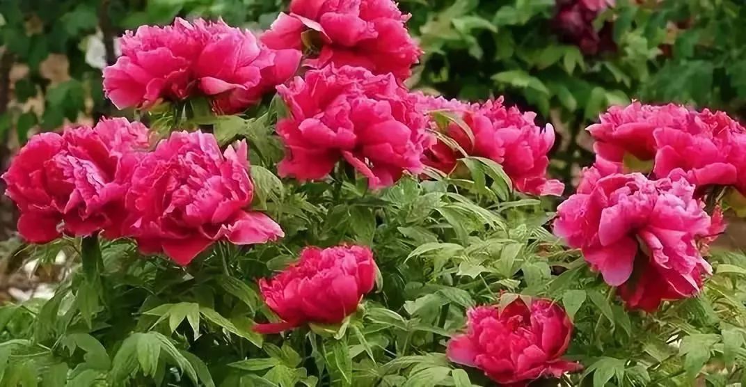 如果不打开这篇文章，你永远不会知道沧州居然可以这么好玩|漫游冀（12）