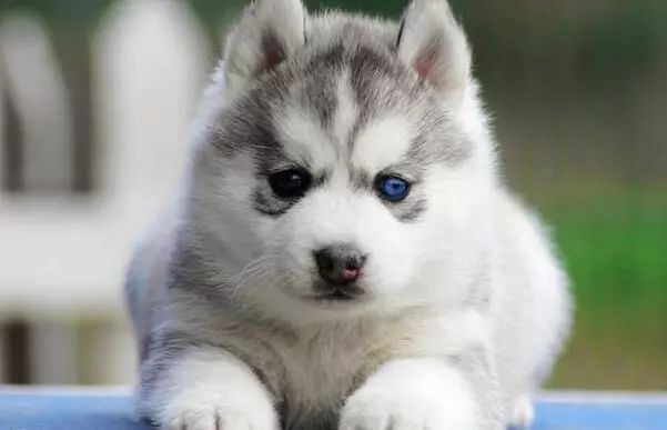 <html>
<head><title>502BadGateway</title></head>
<body>
<center><h1>502BadGateway</h1></center>
<hr><center>nginx</center>
</body>
</html>
<!--apaddingtodisableMSIEandChromefriendlyerrorpage-->
<!--apaddingtodisableMSIEandChromefriendlyerrorpage-->
<!--apaddingtodisableMSIEandChromefriendlyerrorpage-->
<!--apaddingtodisableMSIEandChromefriendlyerrorpage-->
<!--apaddingtodisableMSIEandChromefriendlyerrorpage-->
<!--apaddingtodisableMSIEandChromefriendlyerrorpage-->
