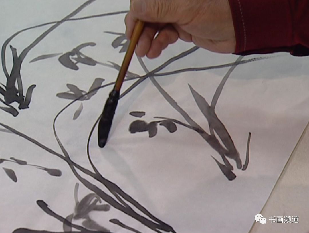 张立辰花鸟画教学系列视频,画家张立辰国画写意作品欣赏