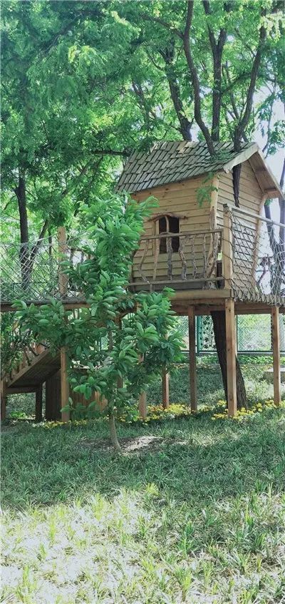 探园幼儿园燕郊,探园幼儿园苏州