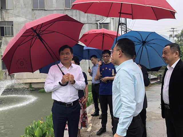 领导督查黑臭水体整治和零直排区,区领导检查推进黑臭水体治理工作