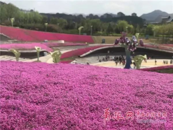 闈掑矝缁濈編鐎戝竷,闈掑矝绱壊鐎戝竷