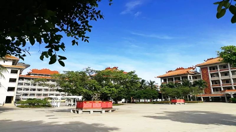 海南初中特长生报3+2有优惠分吗,海南特长生招生政策