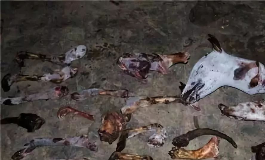 严厉打击食药环假领域违法犯罪,公安部打击食药环犯罪工作通报