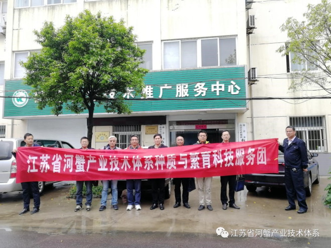 江苏省河蟹体系专家再赴一线调研蟹池杀青苔药害情况