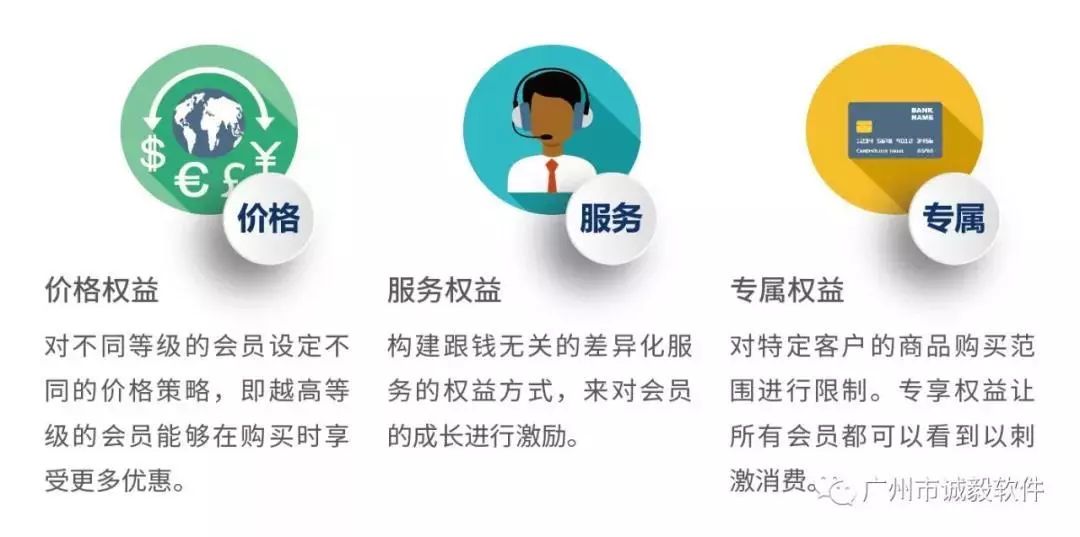 为大屏而生徐明浩,服务平台付费会员制营销方案