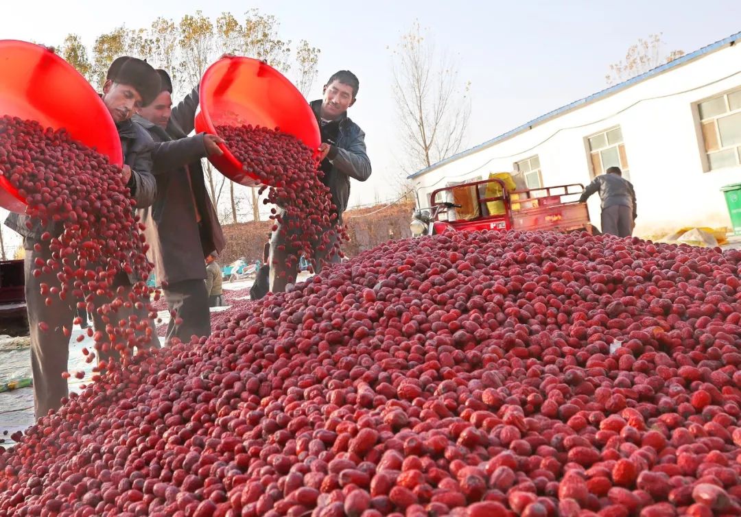 我的扶贫故事原版,我的扶贫小故事扶贫专干