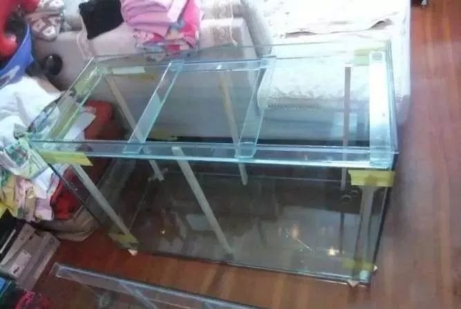 1.5米生态缸的用料及造景,1.2米的缸适合做什么缸