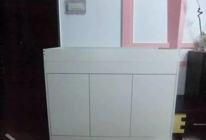 1.5米生态缸的用料及造景,1.2米的缸适合做什么缸