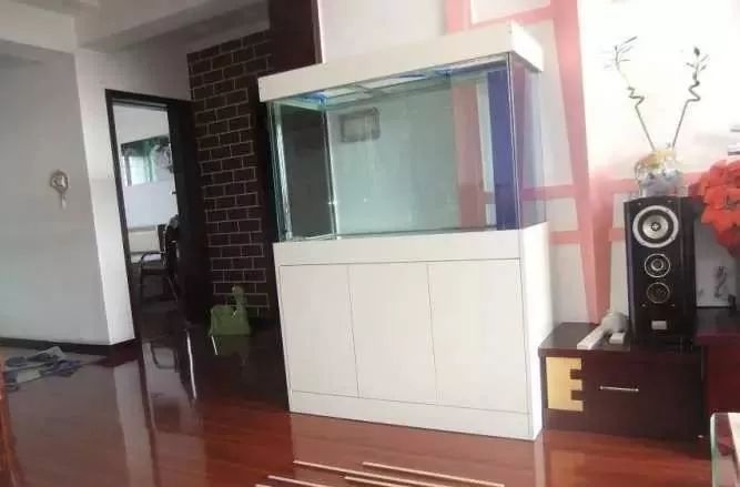 1.5米生态缸的用料及造景,1.2米的缸适合做什么缸