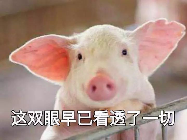 完了，物理所被「入侵」了...