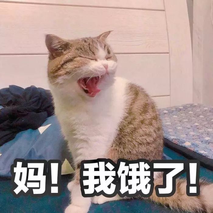 母亲节送礼指南2019,母亲节的礼物请查收