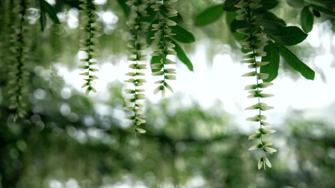 和我在杭城的运河边走一走