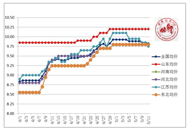 山东鸡价格多少钱一斤,山东肉毛鸡多少一斤