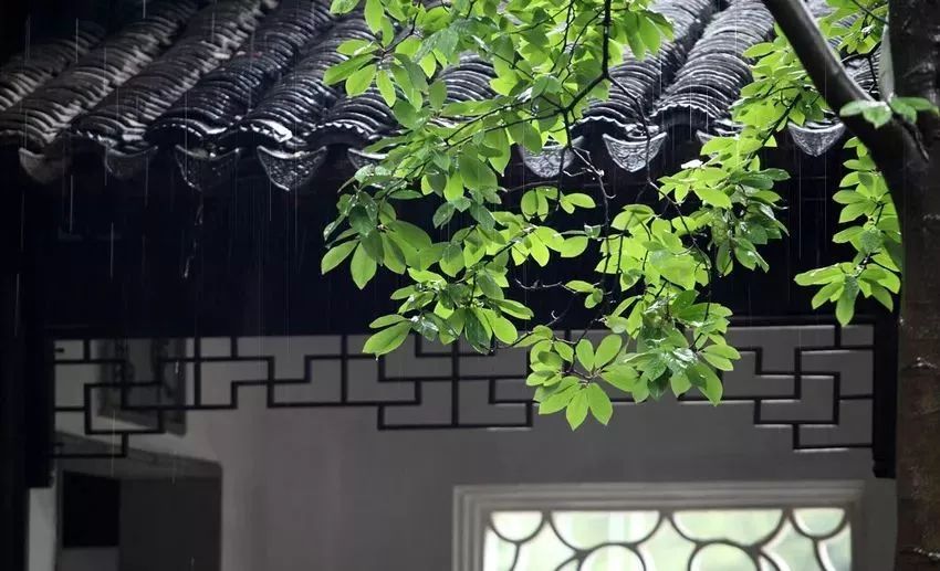 青梅时节的诗词,写梅子的诗句