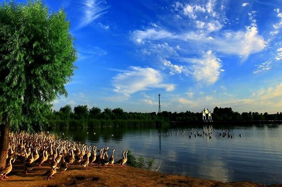 一起走吧粤语歌曲,一起走吧背起行囊