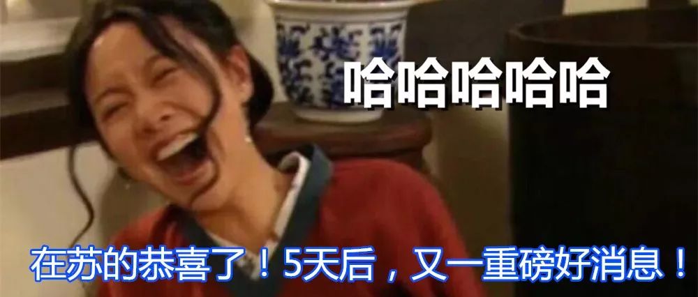 小区流浪狗咬伤20多人,苏州流浪狗被咬视频