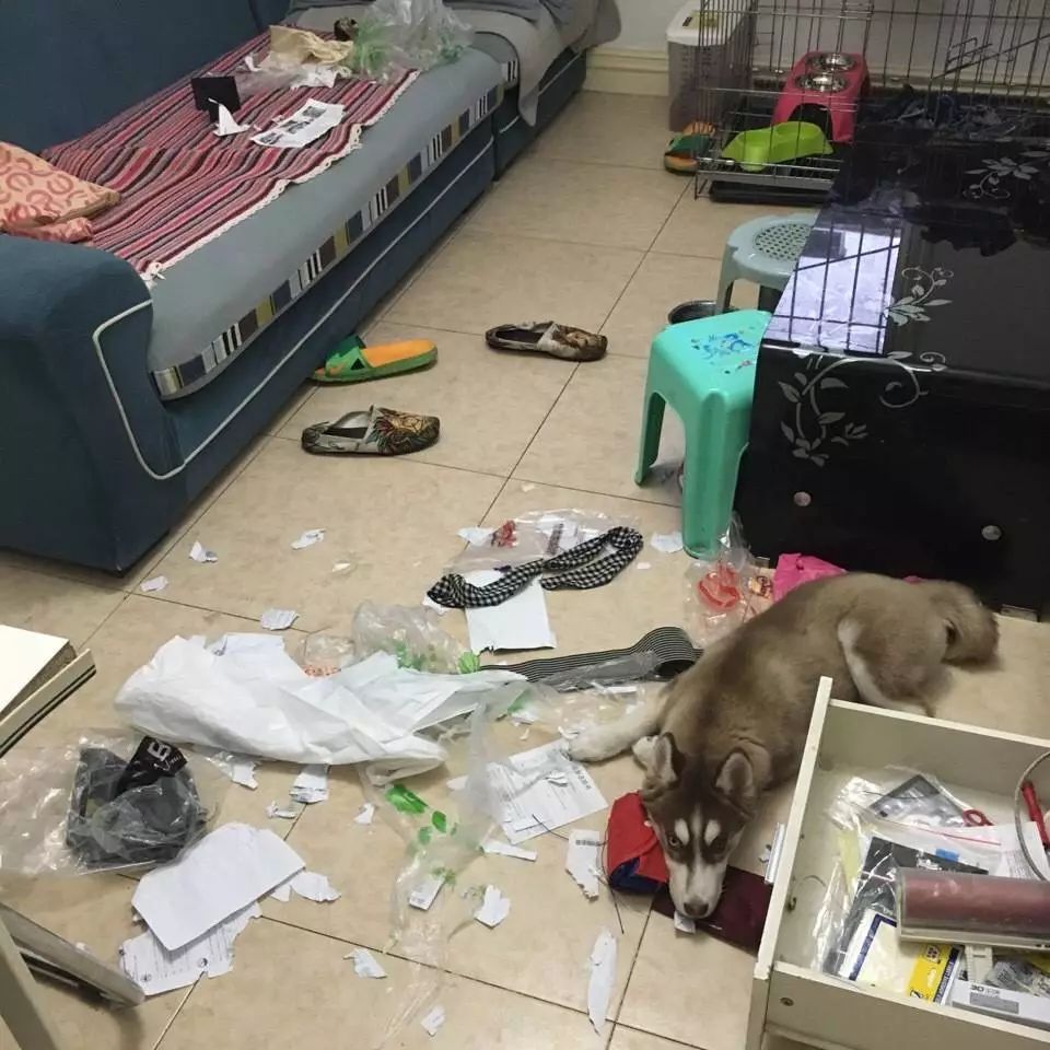 朋友圈设成三天可见代表着什么,有时候把朋友圈设成三天可见