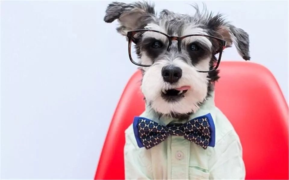 朋友圈设成三天可见代表着什么,有时候把朋友圈设成三天可见