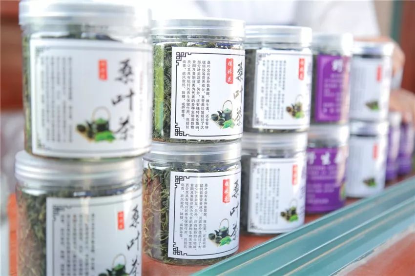 AreYouReady~~~第六届桑果紫酒节火爆来袭！采桑葚，赏演出，如此“葚”好！