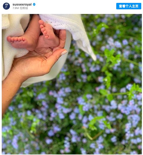 新西兰到底有多好,新西兰最新的好消息