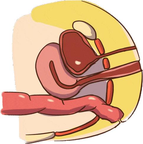 ella自曝产后尿失禁,ella自曝生育话题