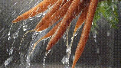 黑科技榨汁机是骗局吗,史上最骗人的榨汁机