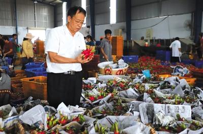 产地直发北京新发地进口水果市场,新发地进口水果批发市场