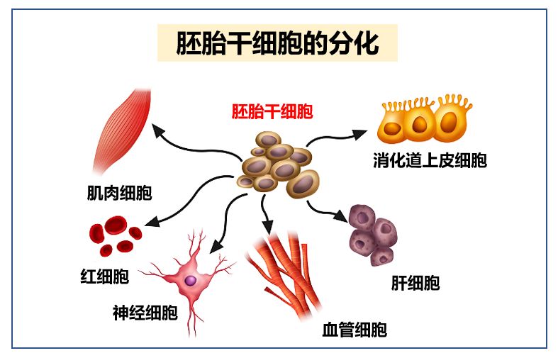 我们的城市病了怎么办,我们的城市病了英文视频