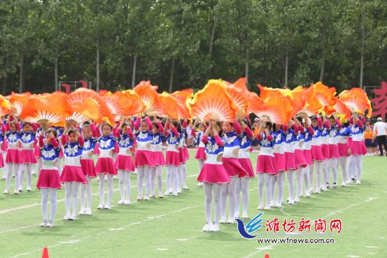 潍坊高新区举行2019年高新区中小学田径运动会