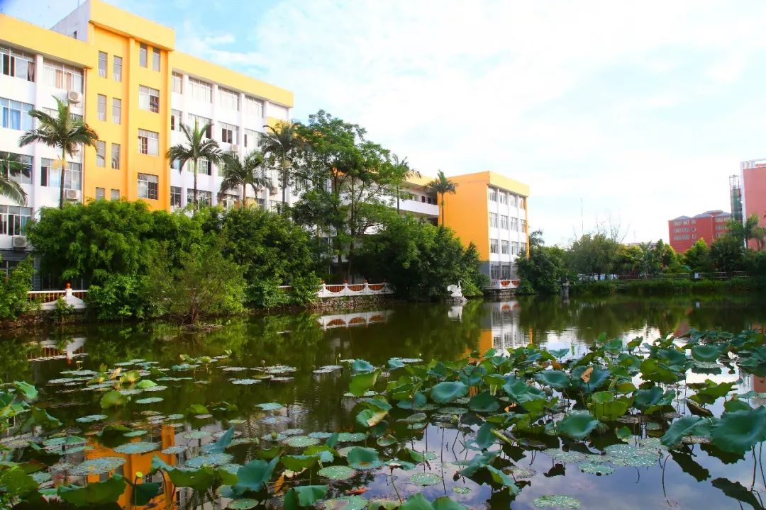 贵港这些高中，哪所是你心目中的最美？一起为你的母校打Call