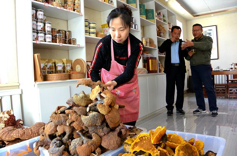 执“绿色”巨笔绘生态画卷——白山市建设中国绿色有机谷·长白山森林食药城素描
