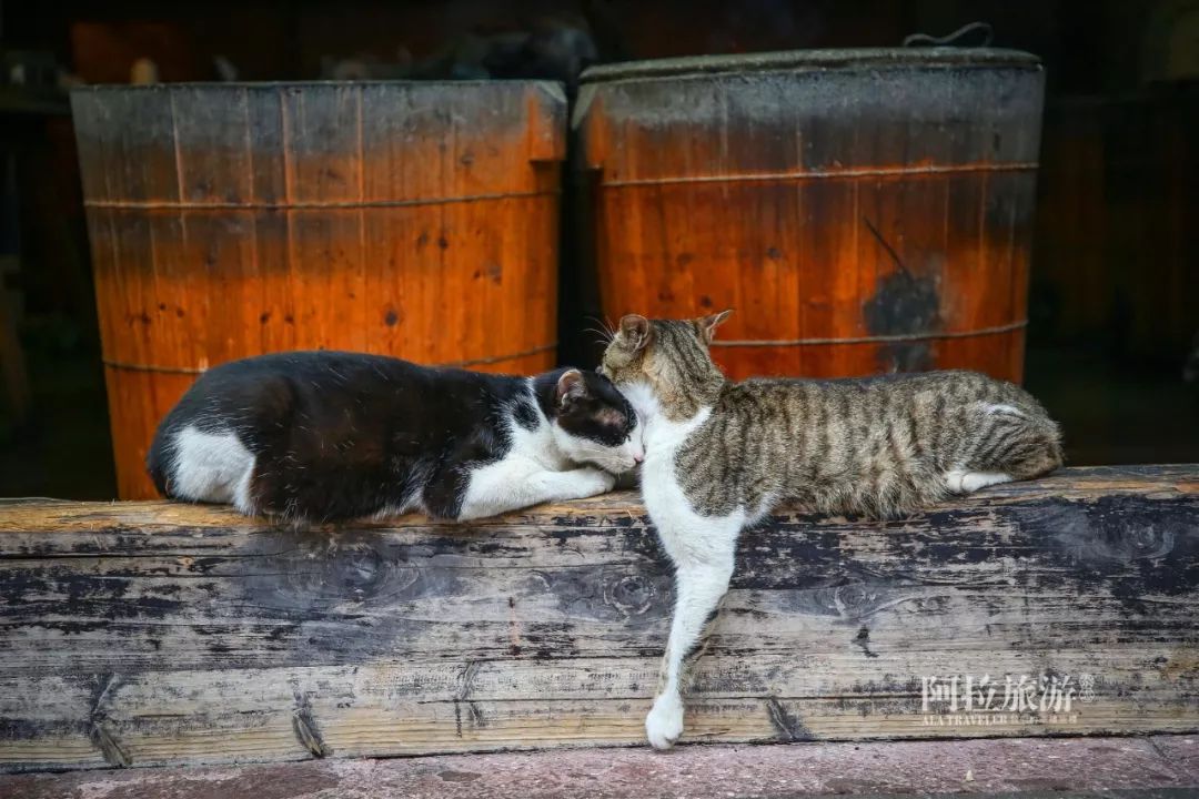 南塘小吃攻略,南塘特色小吃