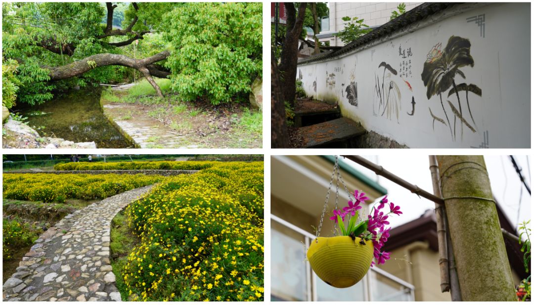 涓虹埍濂旇窇鍏泭褰╃エ,涓虹埍濂旇窇鍏泭娲诲姩2017娣卞湷