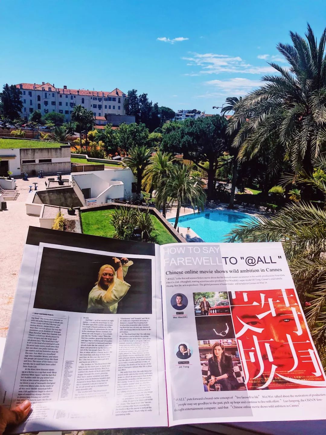 戛纳电影节金棕榈,戛纳金棕榈奖的华语电影