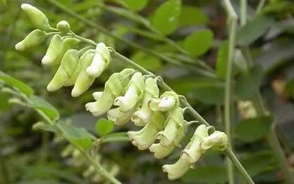 十年脚气怎么治才能除根,十年顽固脚气