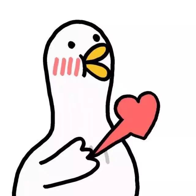 520送礼急救指南！现在买还来得及！！（男女适用版）