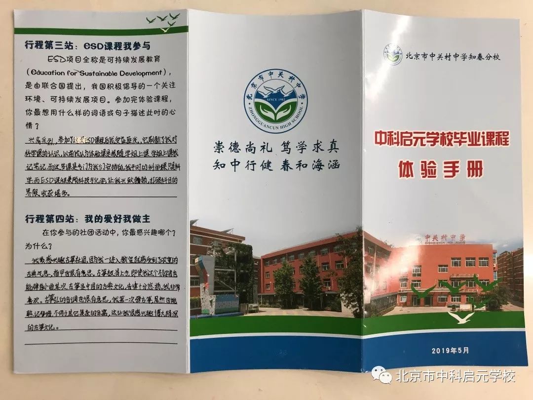 小初衔接学校活动,小初衔接