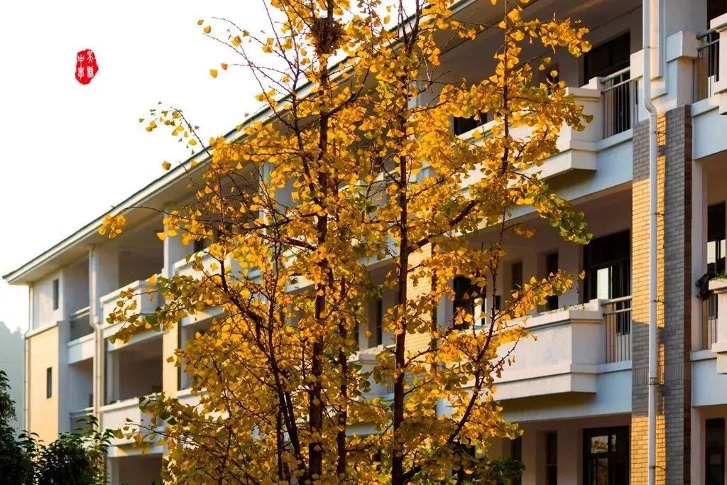 请回答2017,请回答2020总结