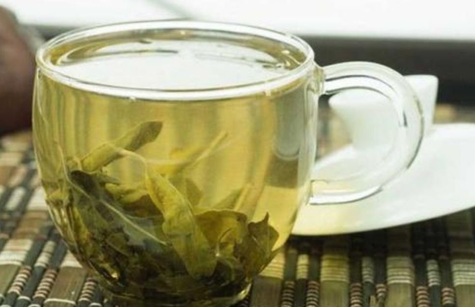 喝罗布麻茶能停降压药吗,罗布麻茶能和降压药一起喝吗