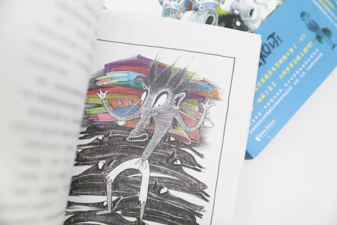 袜子为什么会丢掉一只,为什么袜子丢了一只而不是丢两只