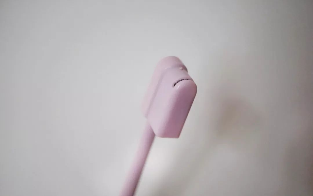 五月种草季,五月种草