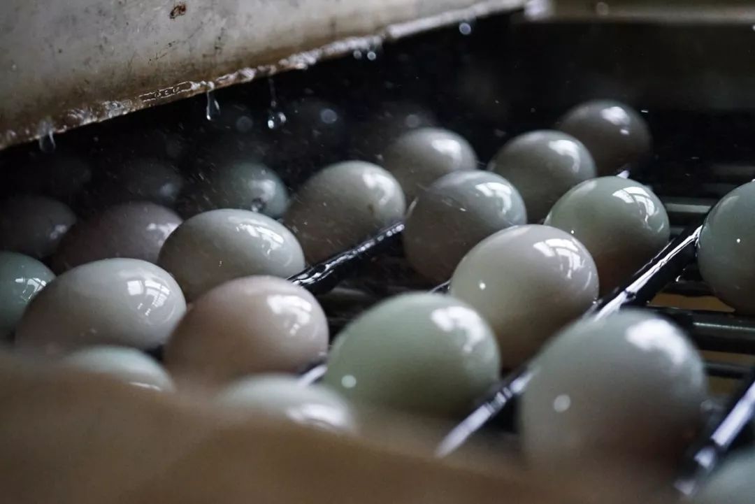 五月种草|栀子乌龙快乐水藕粉丸子葡萄酒盐