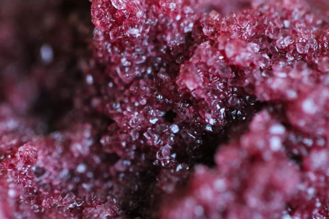 五月种草季,五月种草