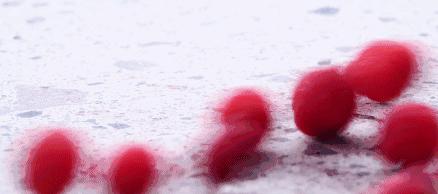 洗杨梅怎么洗虫子会跑出来,洗杨梅怎么有一层油