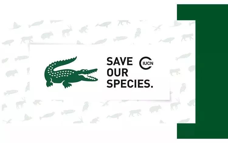 每日速报|美国三大百货一季度受挫、京东腾讯打造全新社交电商平台