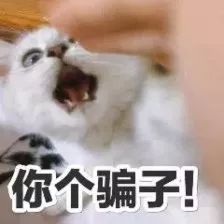 微信支付公众号被骗怎么办,微信转账提示留意微信支付公众号